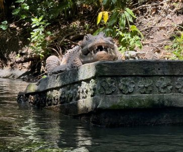 Jungle_cruise_2.jpg