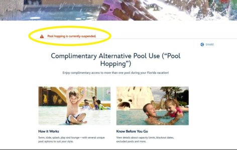 pool hop.jpg