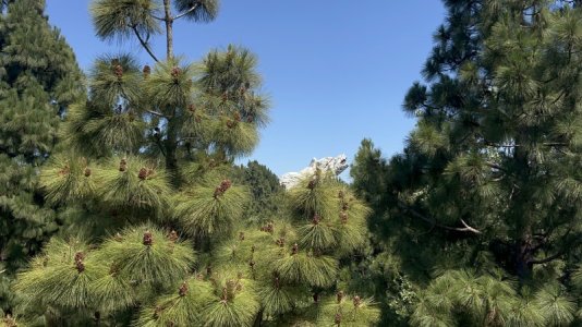 IMG_0835.jpeg