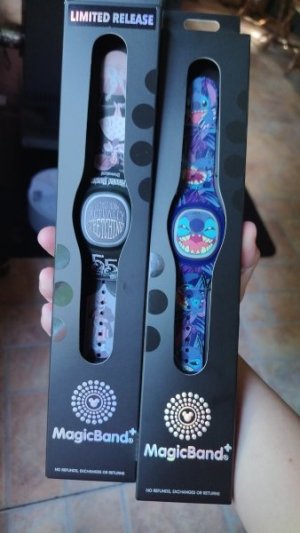 magicbands.jpg