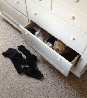 IMG_1087.jpeg