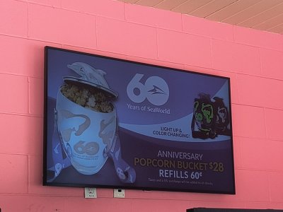 IMG_20240718_112454474.jpg