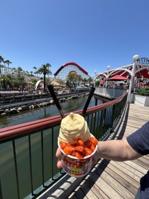 IMG_4324.jpeg