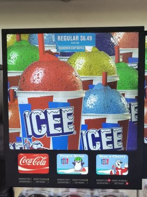 IMG_20240718_113145126.jpg