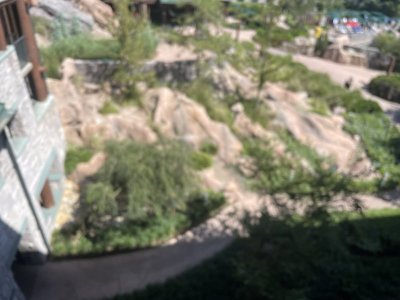 IMG_4129.jpeg