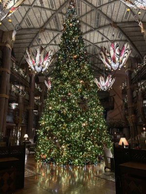 IMG_8577.jpeg