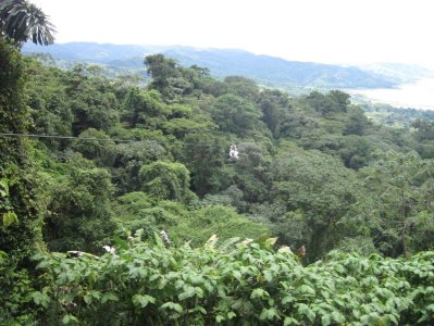 290_zipline.jpg