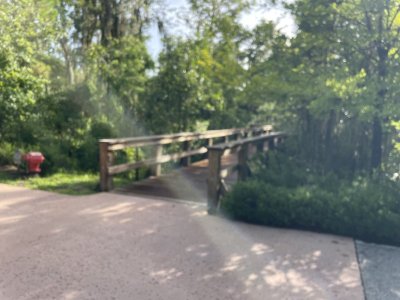 IMG_4173.jpeg