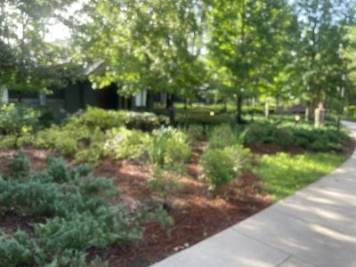 IMG_4167.jpeg