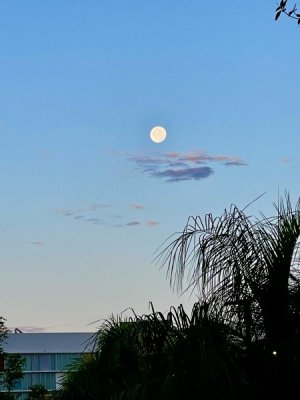 IMG_0287.jpeg