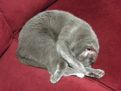 DSCN0758.JPG