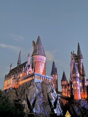 IMG_0310.jpeg