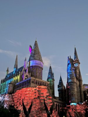 IMG_0317.jpeg