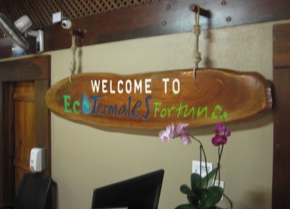 295_hot_springs.jpg