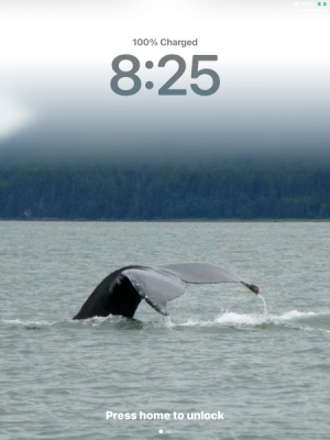 IMG_8023.png