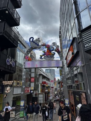 IMG_5987.jpeg