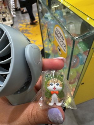 IMG_5995.jpeg