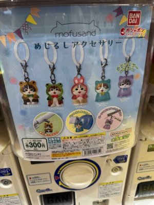 IMG_5994.jpeg