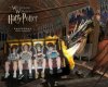 Forbidden Journey 1.jpg
