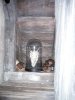 DSCF0561.JPG