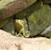 rapunzel-restrooms-hidden-pascal.jpg