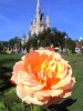 DSC08686.JPG