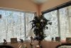 snow scene (640x438).jpg