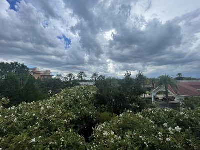 IMG_4807.jpeg