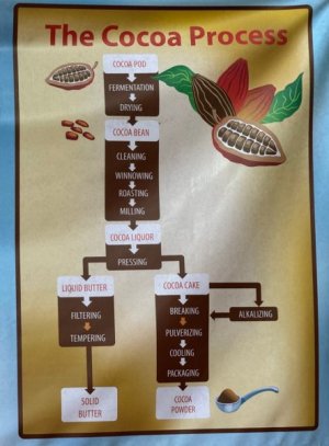 324_chocolate.jpg
