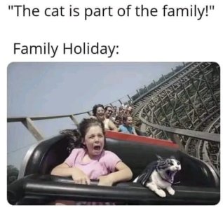 photo.jpg