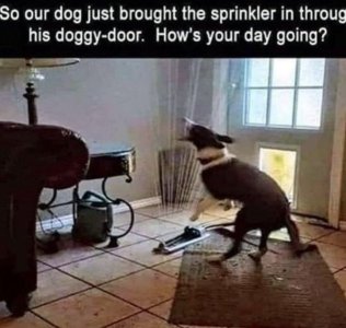 IMG_2904.jpeg