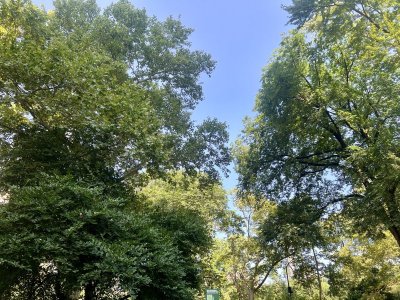 IMG_3598.jpeg