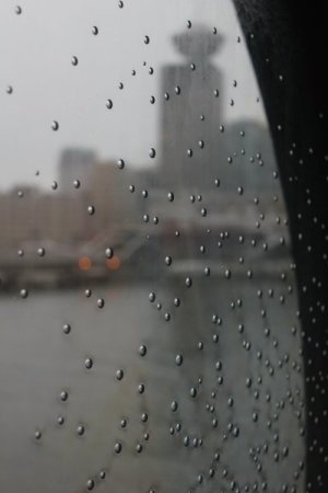 1722040375544.jpeg