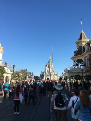 AC8F67DC-E977-4E3D-AC08-A715B61ABA31.jpeg
