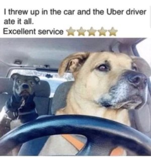 1722106168923.jpeg