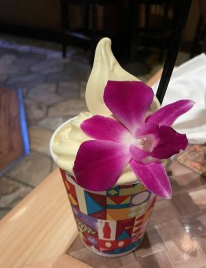 Trader Sam's comped dole whip.jpg