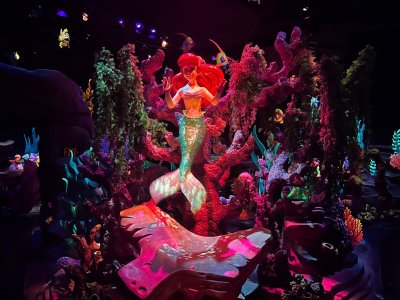 Under the Sea2.jpg