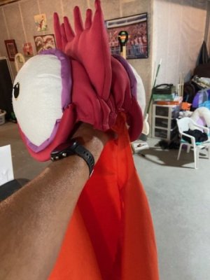 thumbnail_IMG_7948.jpg