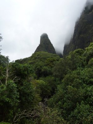 IMG_3407.jpeg