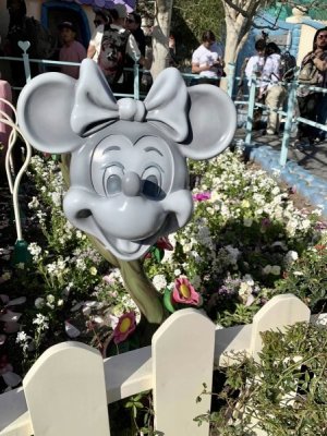 IMG_0590.jpeg