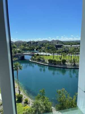 IMG_0413.jpeg