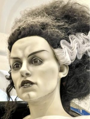 IMG_3962.jpeg