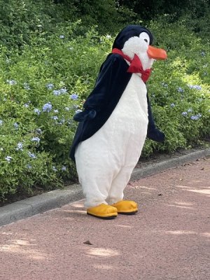 1722818735913.jpeg