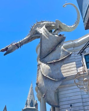 IMG_0474.jpeg