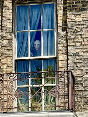 IMG_0466.jpeg