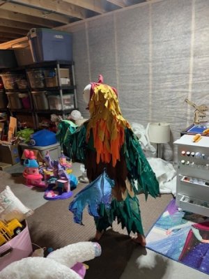 thumbnail_IMG_2611.jpg