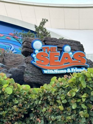 IMG_4381.JPEG