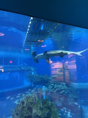 IMG_4404.JPEG