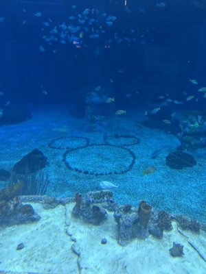IMG_4406.JPEG