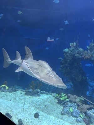 IMG_4408.JPEG